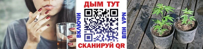 ссылка на мегу сайт  дарнет шоп  нарко площадка как зайти  Шишки марихуана THC 21%  Жуковка 